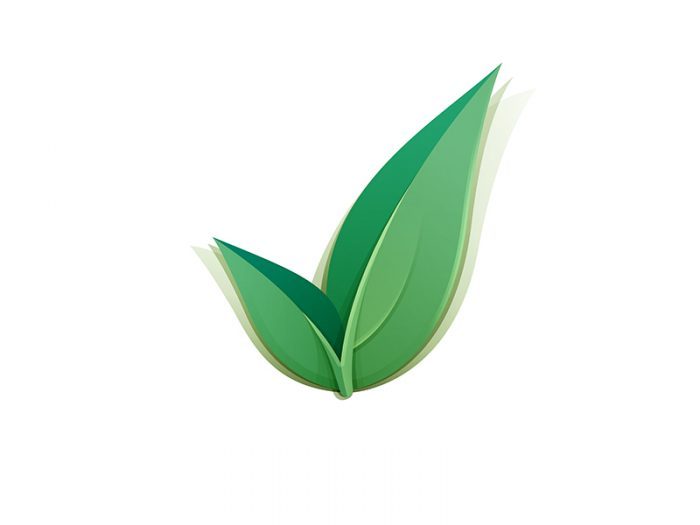 logo_project-700x525_c